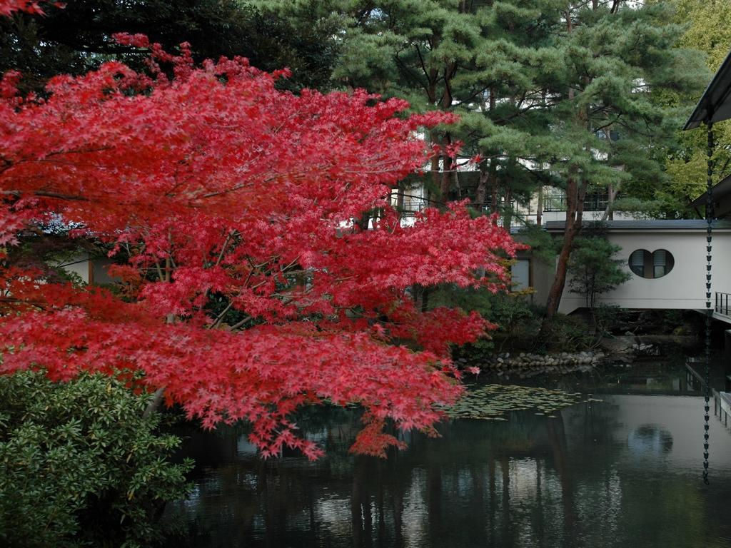 Matsusaki Nomi Exterior foto